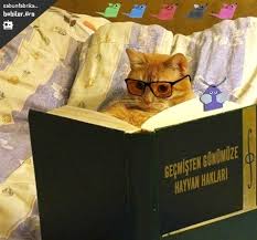 Icerikler Bobiler Org Hayvanlar Komik Seyler Komik Gifler