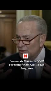 Sen. Chuck Schumer said that while Democrats agree with cutting wasteful  spending, DOGE shouldn't be using a "meat axe" to cut "everything."