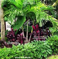 25 Best Christmas Front Yard Decorating Decoratoo Tropical Garden Design Tropical Garden Tropical Landscaping