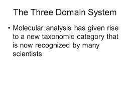 Chapter 18 Classification 18 1 Finding Order In Diversity Ppt Download
