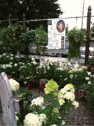 Moon valley nurseries offers a wide variety of trees and plants, some of which are only available in specific regions. Garden Delight After Dark Garden Center Magazine