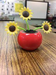Now let's get started on these outdoor solar lights! Inexpensive Science Experiments For The Classroom Weareteachers
