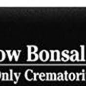 Alcazar Family Obituaries