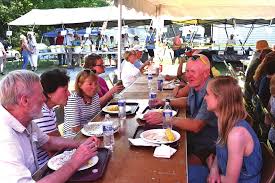 Homes Needed For Furry Friends