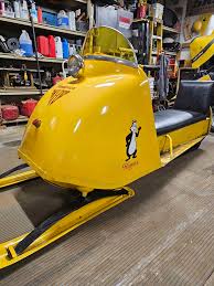 Image result for Yellow 1964 Fleet