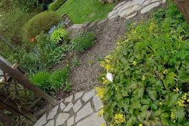 Garten Ohne Rasen Ich Habs Getan Seite 6 Mein Schoner Garten Forum Mediterraner Garten Garten Pflanzen