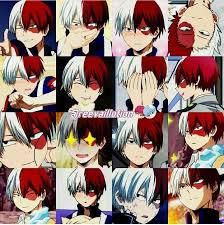 Pin By Isabella Williams On My Hero Academia My Hero My Hero Academia Manga My Hero Academia Shouto Izuku is nice but scary and he yells at all might for his reckless teaching. my hero academia shouto