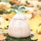 Intro to Pottery: Clay Pumpkins event image