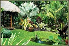 You can create your own tropical getaway with some careful poolside planning. Collection In Backyard Tropical Landscaping Ideas Backyard Tropical Landscape Ideas Home D Tropical Landscaping Tropical Backyard Landscaping Tropical Backyard