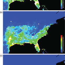 Subterranean termites are difficult to control considering they live beneath the soil. Pdf Temperate Forest Termites Ecology Biogeography And Ecosystem Impacts
