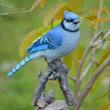 Birds For Sale In Ohio Hi Line Gift Ltd Jay On Branch Statue Birds Birdslyrics Birdsofprey Branch Gift Hiline Jay Statue In 2020 Blue Jay Blue Jay Bird Birds