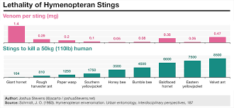 Visual Guide To Painful Hymenopteran Stings