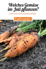 Welches Gemuse Pflanzen Im Juli Gemuse Pflanzen Pflanzen Hochbeet Pflanzen