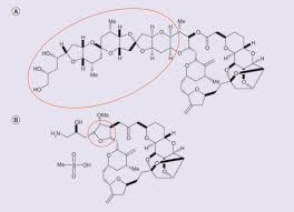 Image result for Eribulin