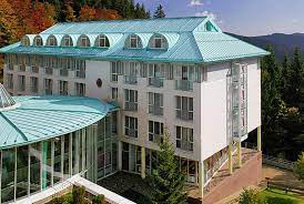 Klinik, chronische erkrankungen, rehabilitationsmedizin, endokrinologie, orthopädie, stoffwechselerkrankungen. Vor 15 Jahren Wurde Das Caritas Haus Feldberg Wiedereroffnet Kreis Breisgau Hochschwarzwald Badische Zeitung