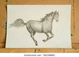 We did not find results for: Pencil Drawing Arabian Horse Head Only Stock Photo Edit Now 1061368601
