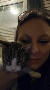 Valley Hi Nissan community, urgent help needed for baby kitties