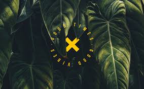 Check spelling or type a new query. Vibes Laptop Wallpapers Top Free Vibes Laptop Backgrounds Wallpaperaccess