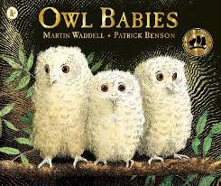 We are thrown into the fictional world of the anecdotal seven kingdoms of westeros. Owl Babies By Martin Waddell Patrick Benson Waterstones