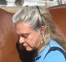 Dr Sue Dyson: A Trailblazer in Equine Veterinary Medicine