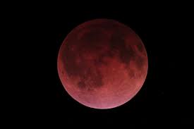 Image result for pictures blood red moons