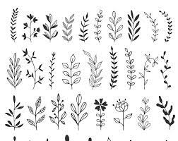 Free Free 227 Simple Flower Drawing Svg SVG PNG EPS DXF File
