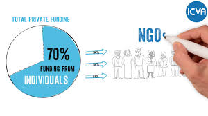 Ngos are a subgroup of organizations founded by citizens, which include clubs and associations that provide services to their members and others. Topic Five Private Funding A Growing Source For Ngos International Council Of Voluntary Agencies