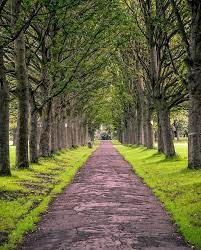 a morning walk at hyde park leeds hydepark woodhouse leedslife visitleeds westyorkshire yorkshire pathw house in the woods hyde park shadow sense