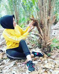 Salak Siapa Yang Belum Kenal Buah Yang Satu Ini Pastinya Sudah Donk Salak Dalam Bahasa Ingris Disebut Snake Fruit Karena Kulit Buahny Pondokan Kulit Bali