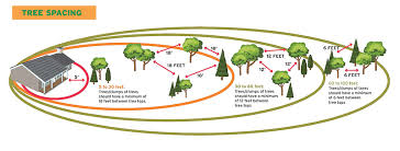 In general, free fire zone is an area where all friendly forces had been supposedly cleared, and any remaining people were hostile. Nfpa Preparing Homes For Wildfire