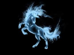 What Is Your Patronus Harry Potter Patronus Patronus Patronus Tattoo