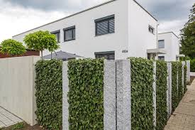 Zaun, hecke und mauer geben unserem zuhause einen ansprechenden rahmen. Immergrune Pflanzen Als Sichtschutz Meister Meister