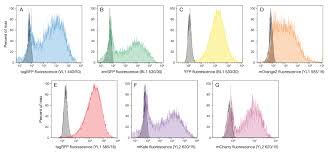 Fluorescent Protein Expression Detection Thermo Fisher