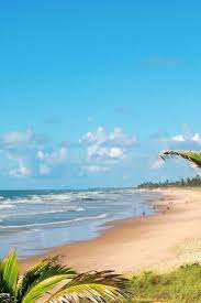 Beautiful Brazil Beach A Place To Take You Away From It All Warm Water With Breathtaking Golden Sand Along The Coast Of Brazil Brazil Beaches Beach Water