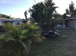 Spring treatments starting to take full effect. Garcia Lawn Mowing And Landscaping Venice Fl