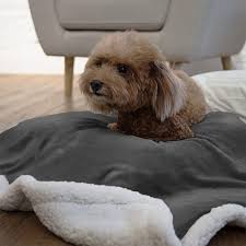 Top 6 best dog blankets in 2020. Premium Sherpa Dog Blanket Pet Throw Blanket For Puppy Small Dog Medium Dog Or Cat Kitten Reversible Soft Lightweight M Puppy Blanket Dog Blanket Cat Blanket