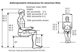 Anthropometric Dimensions For Humans Sitting Human Dimension Human Sketch Human Male