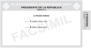 Apruebo dignidad y chile vamos. X6krodhmm0x9em