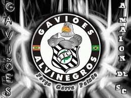 As últimas do(a) figueirense na goal.com, incluindo notícias sobre mercado da bola, rumores, resultados, placares e entrevistas com jogadores. Gavioes Alvinegros Do Figueirense Home Facebook