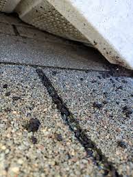 Atlas pest and wildlife control has done a variety of work for commercial, industrial, and residential clients. All Pro Wildlife Home Facebook