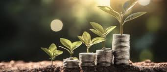 Rainwater Harvesting and Irrigation