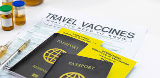 Image result for Travel Immunization