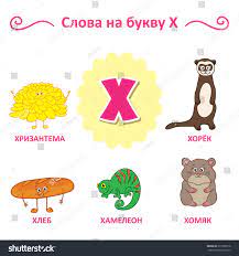 Trying to find a food for every letter of the alphabet? Russian Alphabet Words That Letter Chrysanthemum Stock Vector Royalty Free 340687775 Shutterstock