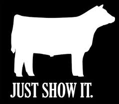 Vinyl Decals For Your Truck Show Box Blower Etc Livestock Quotes Show Cattle Show Cows
