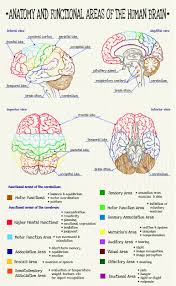 Singing In Gibberish To Take Away The Judgement Https Www Youtube Com Watch V Ekolgdiqa Medical School Studying Nursing School Studying Medical Student Study