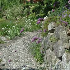 Gartenrundgang Juli 2018 Naturgarten Garten Mediterraner Garten