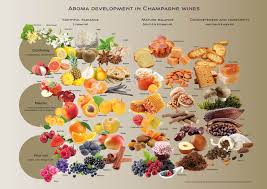 Pin By I G Seig On Champagne Wine Flavors Wines Wine Advertising