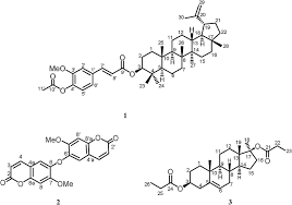 Image result for Dictyophleba lucida