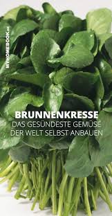 Das Gesundeste Gemuse Der Welt Selbst Anbauen In 2020 Brunnenkresse Gesundes Gemuse Gemuse Anbauen