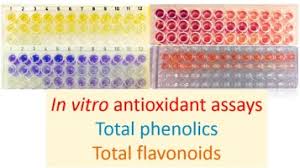 A method for phenolic content quantification is volumetric titration. Antioxidant Activity Total Phenolics And Flavonoids Contents Should We Ban In Vitro Screening Methods Sciencedirect